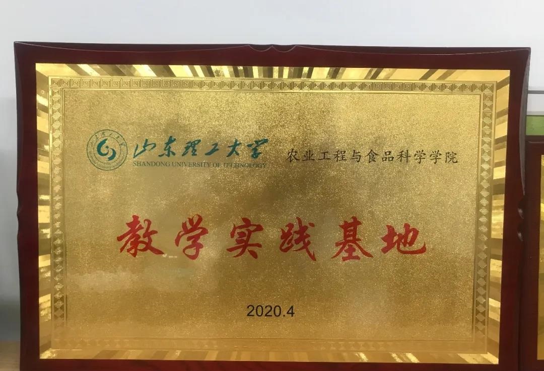 青島高新區企業與山東理工大學攜手共進，共繪影視策劃新藍圖